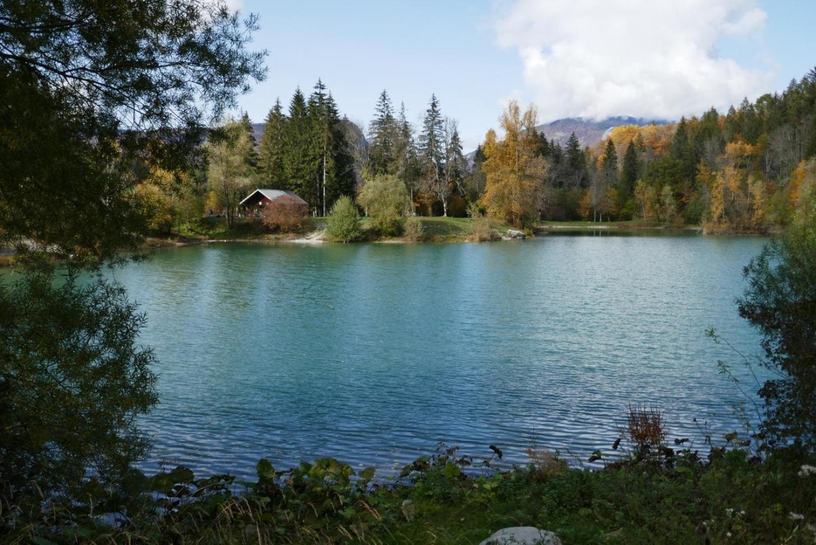 Les Perrelles Bed and Breakfast Bellecombe-en-Beauges Εξωτερικό φωτογραφία