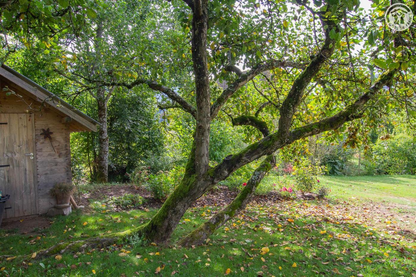 Les Perrelles Bed and Breakfast Bellecombe-en-Beauges Εξωτερικό φωτογραφία